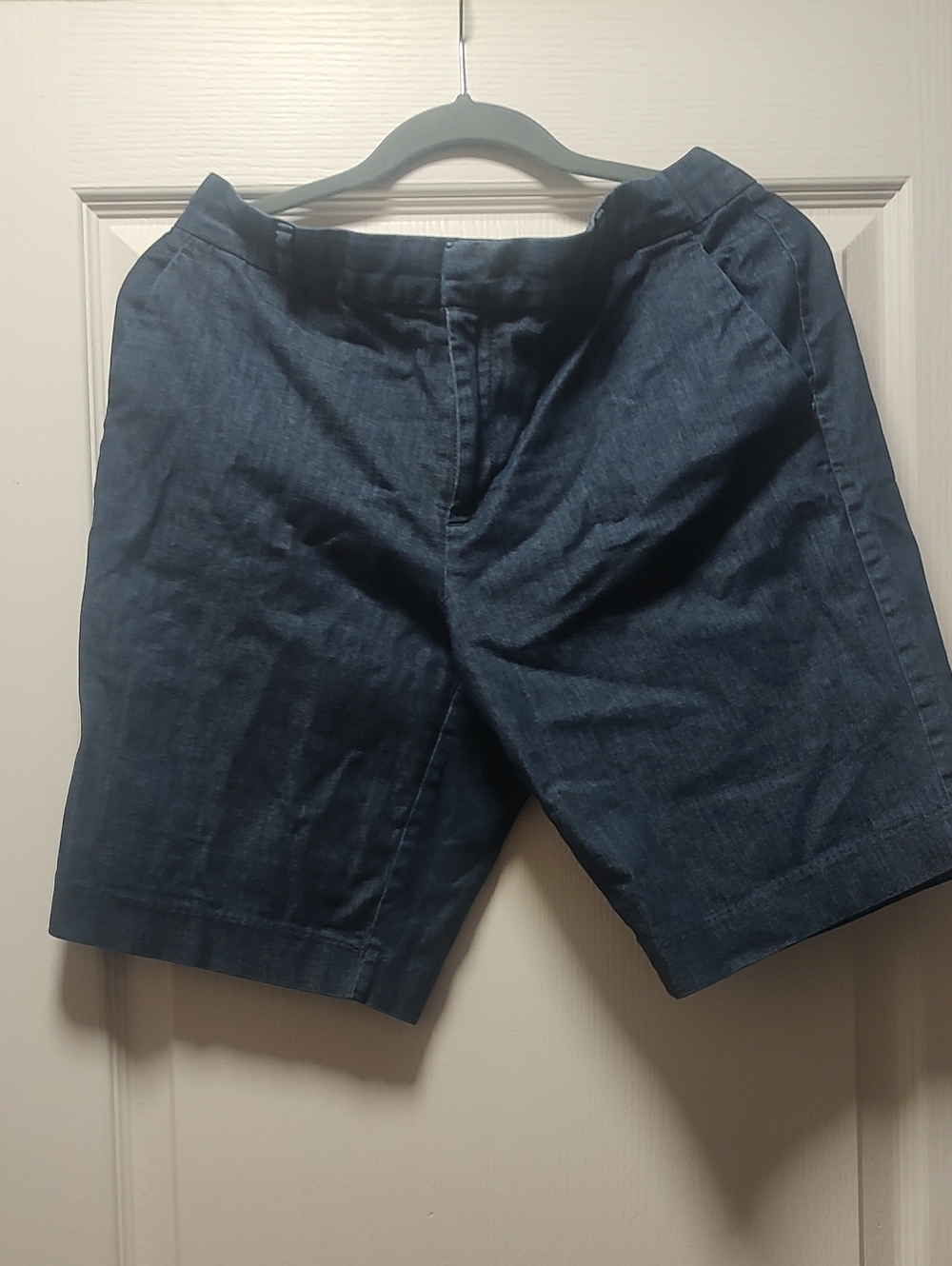 Banana Republic Navy Flat-Front Men's Shorts